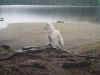 Storm126.JPG (71247 byte)
