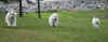 IMG_1551.JPG (49180 byte)