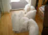 Bilder 5-05 096.JPG (39678 byte)