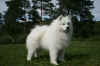 Eros 3 ar.JPG (64788 byte)