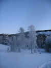 IMG_1239.JPG (28942 byte)