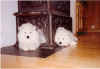 docu0024v.JPG (43677 byte)