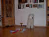 IM000104.jpg (162585 byte)