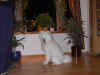 IM000150.jpg (175533 byte)