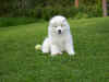 IM000354.jpg (258538 byte)