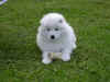 IM000371.jpg (285884 byte)